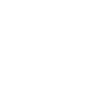 五